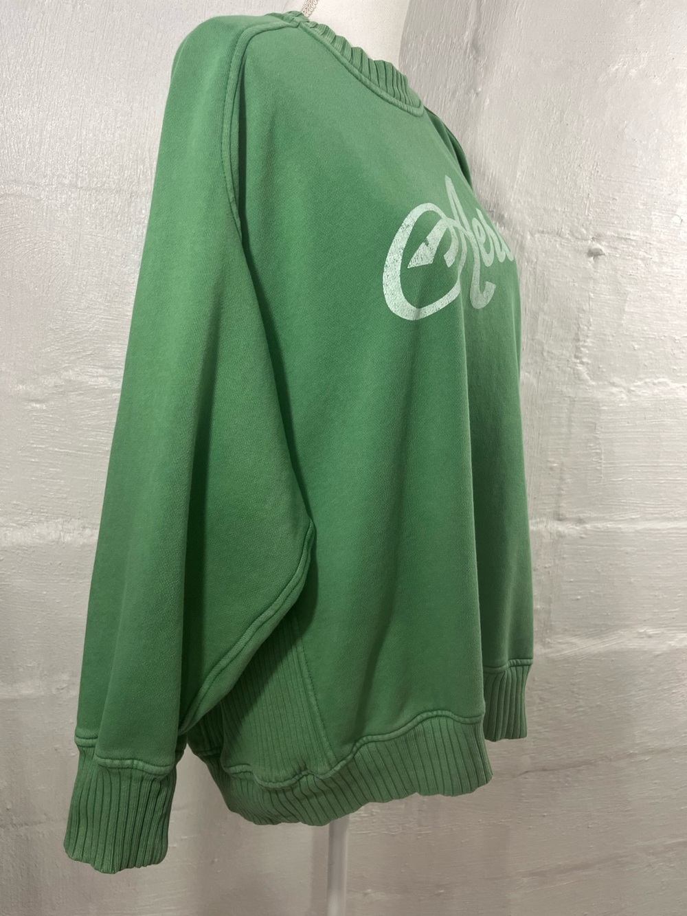 AERIE DOWN TO EARTH OVERSIZED SWEATSHIRT - Picture 14 of 15